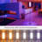 Alyea 64'' Gold Traditional Floor Lamp