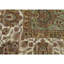 Tapis brun / beige / blanc noué à la main
