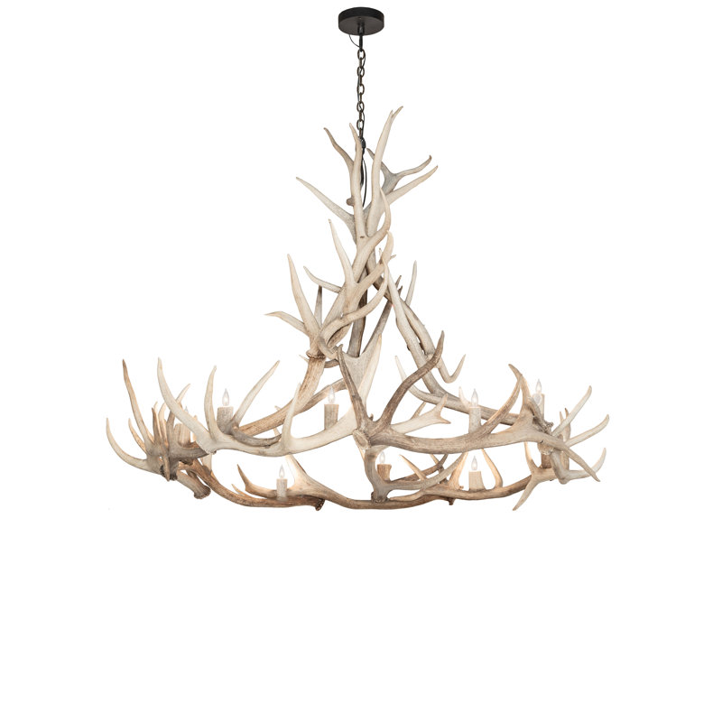 Lustre unique à 12 lumières