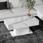 110x55x50cm High Gloss Coffee Table with 16 Colors LED Lights-1769963916