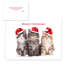 Cats Holiday Card