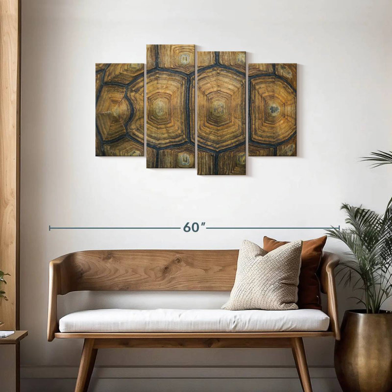 Brampt Giant Tortoise Shell, 27" H x 43" W