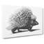 Porcupine In Black And White by George Shaw - Wrapped Canvas-55322572