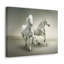 Wall Art on Canvas