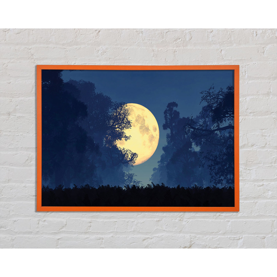 Applecroft Stunning Midnight Moon Through The Trees - Einzelne Bilderrahmen Kunstdrucke