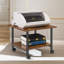 2-Tier Printer Cart with Storage Shelf