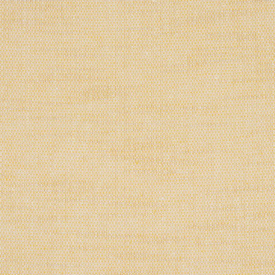 Camarillo Weave Indoor/Outdoor Fabric