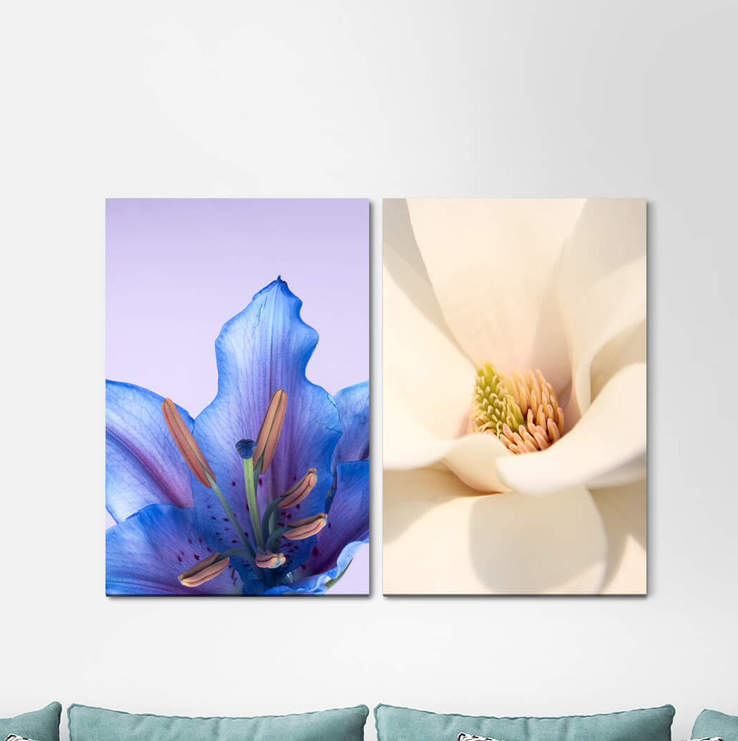 2-tlg. Leinwandbilder-Set - Fotografie „Orchid Blue White Tulip Flowers Flora”