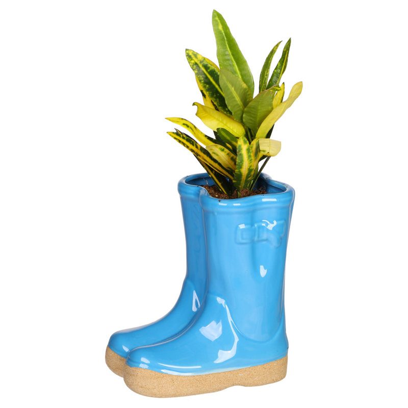 Carlson Ceramic Pot Planter, 17cm H x 15cm W x 10cm D, Blue