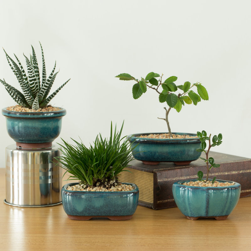 Ceramic Indoor / Outdoor Pot Planter