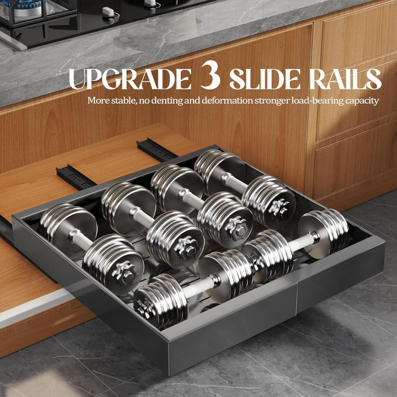 Pull-Out Cabinet Organizer