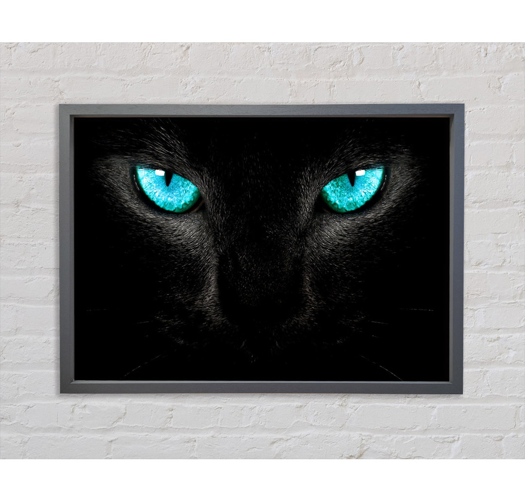 Blue Eyes Cat - Einzelne Bilderrahmen Kunstdrucke auf Leinwand