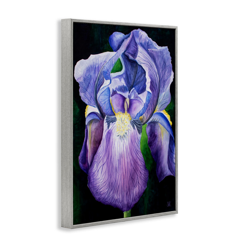 «Mauve Iris Petals», estampe numérique par Sarah Waldron Kimball, H 30 po x l 20 po, Estampe numérique Farmhouse