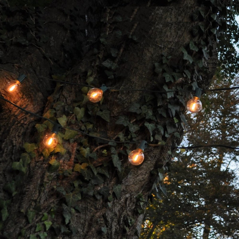 Hinman Outdoor 25 - Bulb 25'' Plug-in Globe String Light, Black Wire, G50