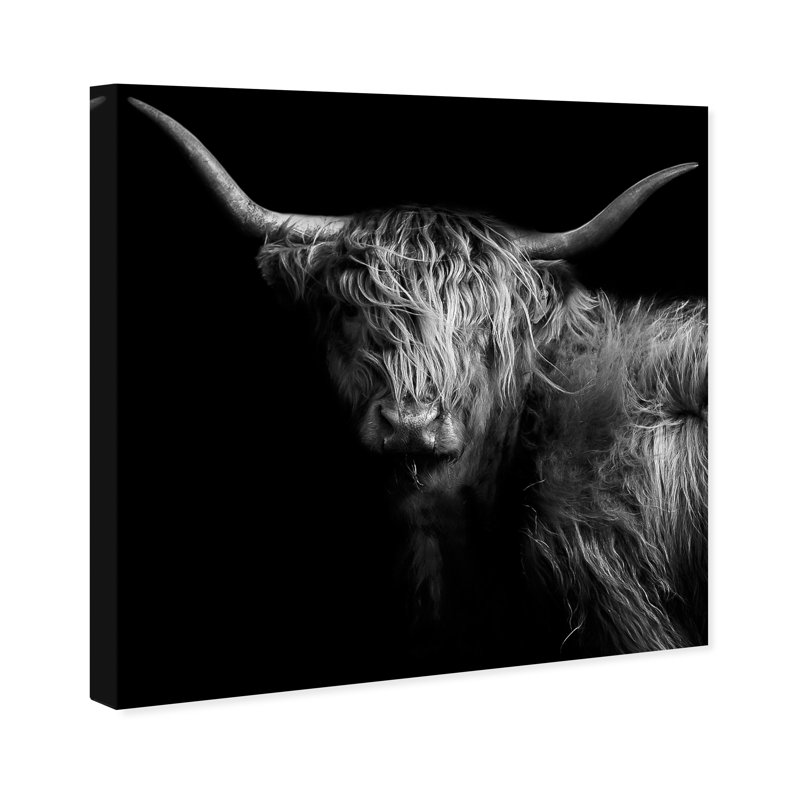 Realistic Black And White Highland Cow Photography Print by Oliver Gal, 20" H x 20" W, Wrapped Canvas
