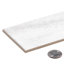 Splendor 3 po x 10 po Carrelage mural en porcelaine brillante Subway-93067493