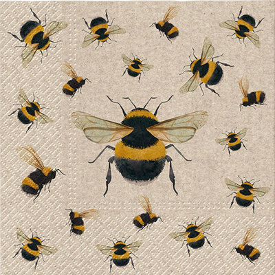 Disposable Paper Napkins