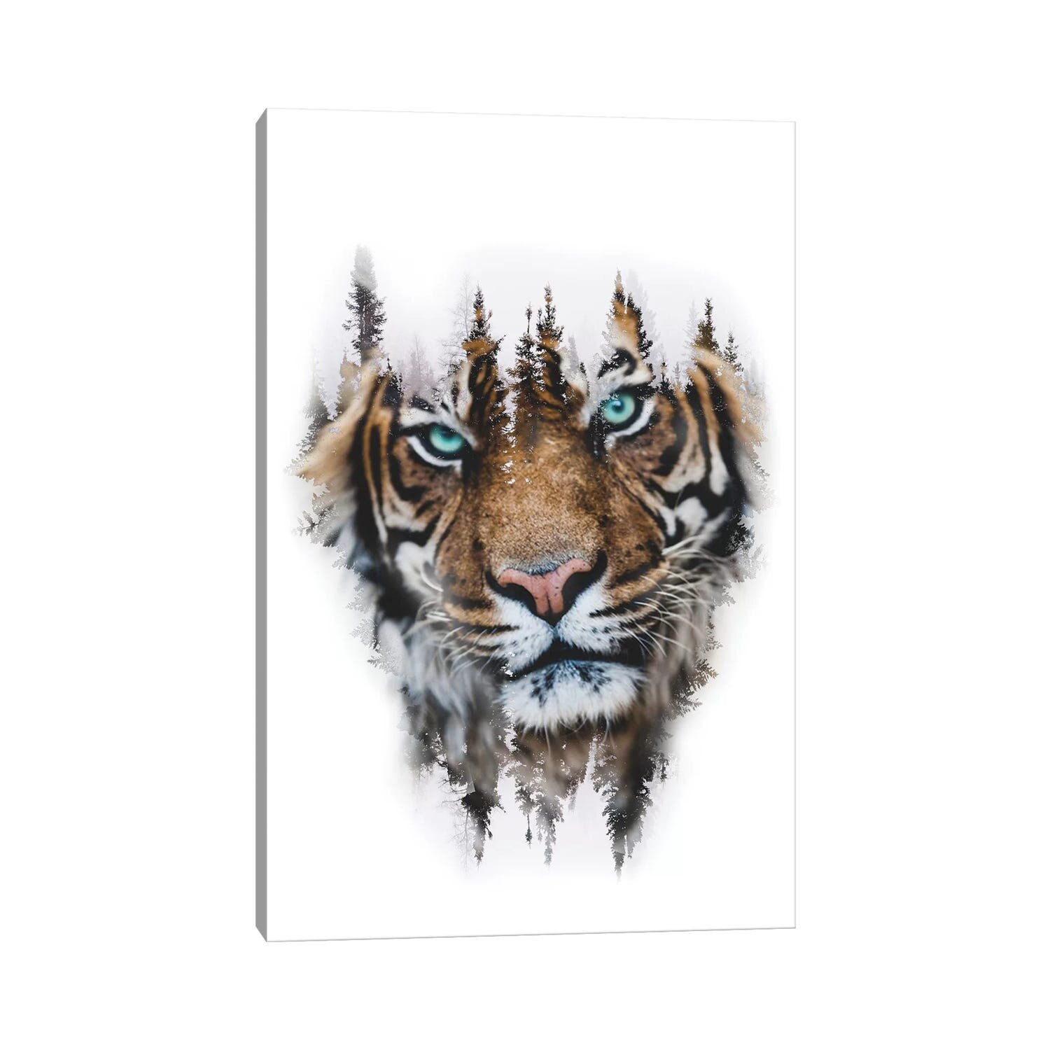 Bengal Tiger - Signed Fine Art Print - inkart