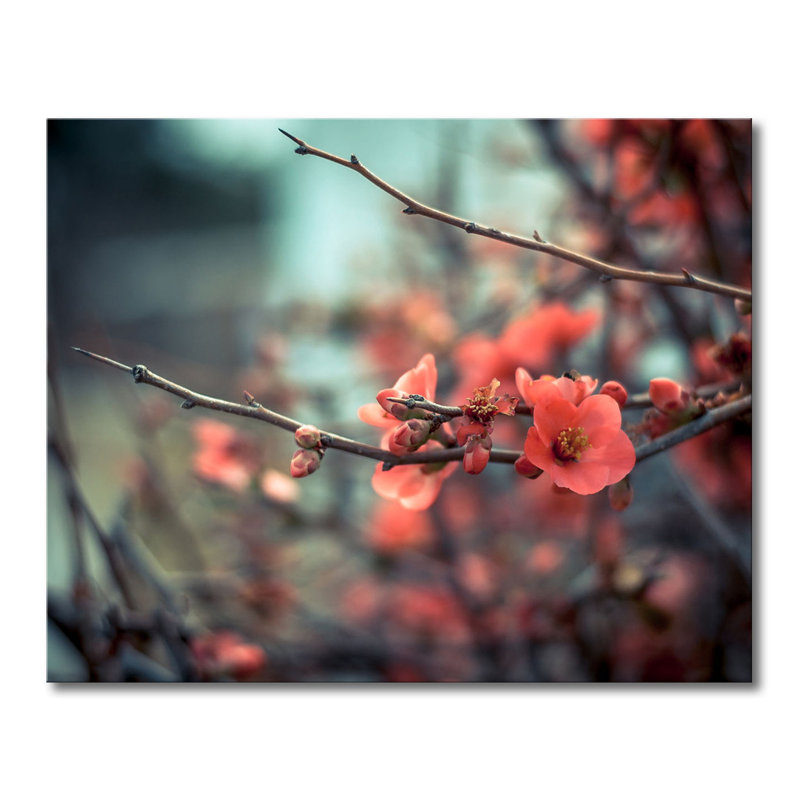 Wrapped Canvas Print, 80cm H x 100cm W x 2cm D