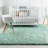 Indoor Rug-57538565