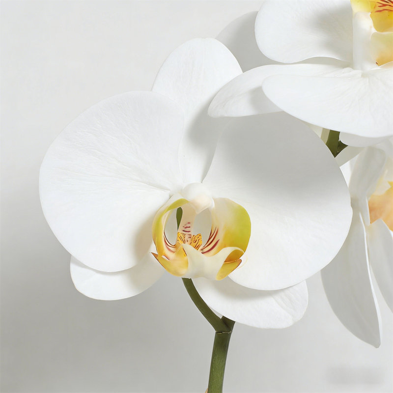 Arrangement floral artificiel, Blanc, 20 po x 24 po