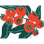 Berries Print by Trish Sierer-65797070-65797073