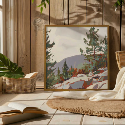 " Mountain Rocks And Pines II "