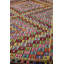 Jijim One-of-a-Kind 6'8" X 11'2" Area Rug