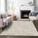 Premium Machine Washable Prisco Beige Rug