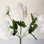 10 " Plastic Carnation Arrangement