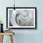 White Rose - Single Picture Frame Painting on MDF-56739390-56739392
