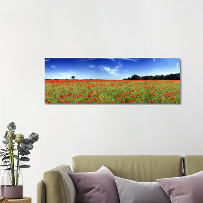 Poppies In A Field, Norfolk, England - Wrapped Canvas Panoramic Print