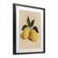 Reproduction sous verre encadrée de citron avec feuilles, design par Petal Prints Design-1679042024-1679042026