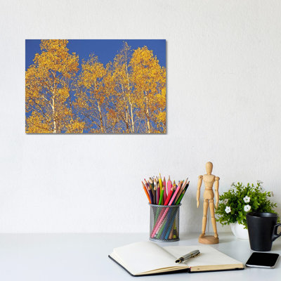 Blue Sky Aspens by Brian Wolf - Wrapped Canvas Gallery-Wrapped Canvas Giclée