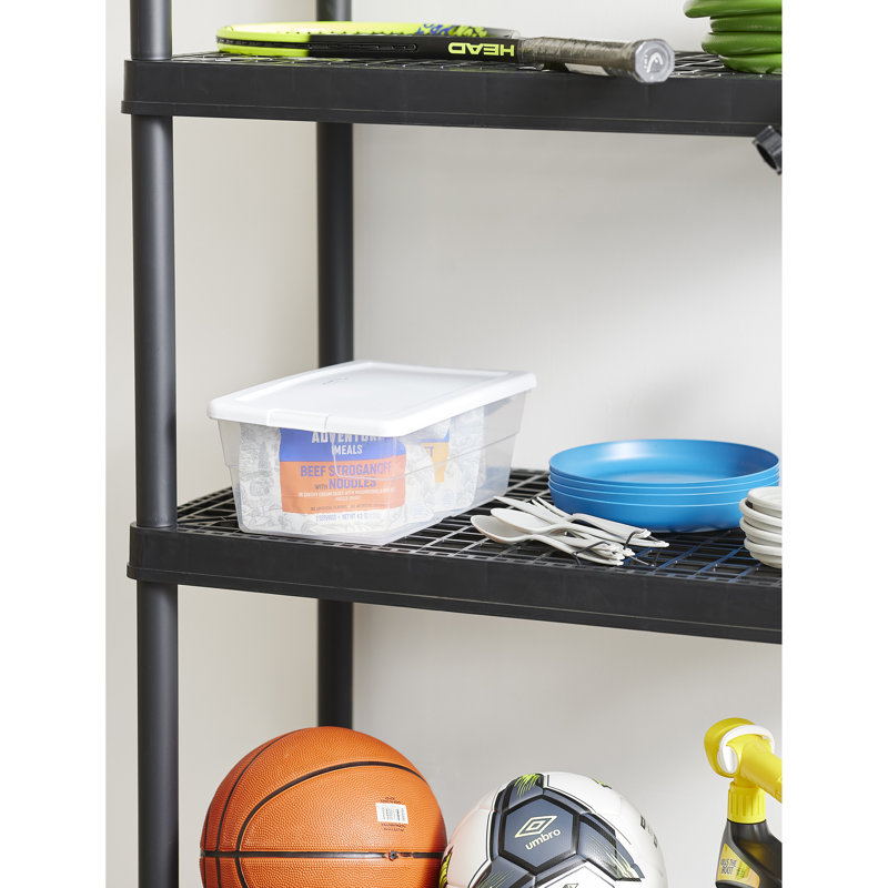 Boîte de rangement de 70 pintes (paquet de 4) et sac de 6 pintes (paquet de 12) Sterilite