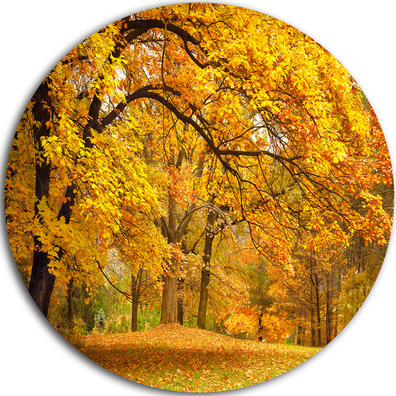 « golden automne forest », reproduction de photo sur métal, H 38 po x l 38 po x P 1 po