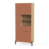 Azelle Wall Mounted Required Bathroom Cabinet