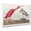 Ibis Bird by John Audubon - Wrapped Canvas-55323106