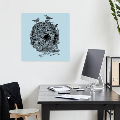 Crâne, nid, oiseau, art urbain contemporain