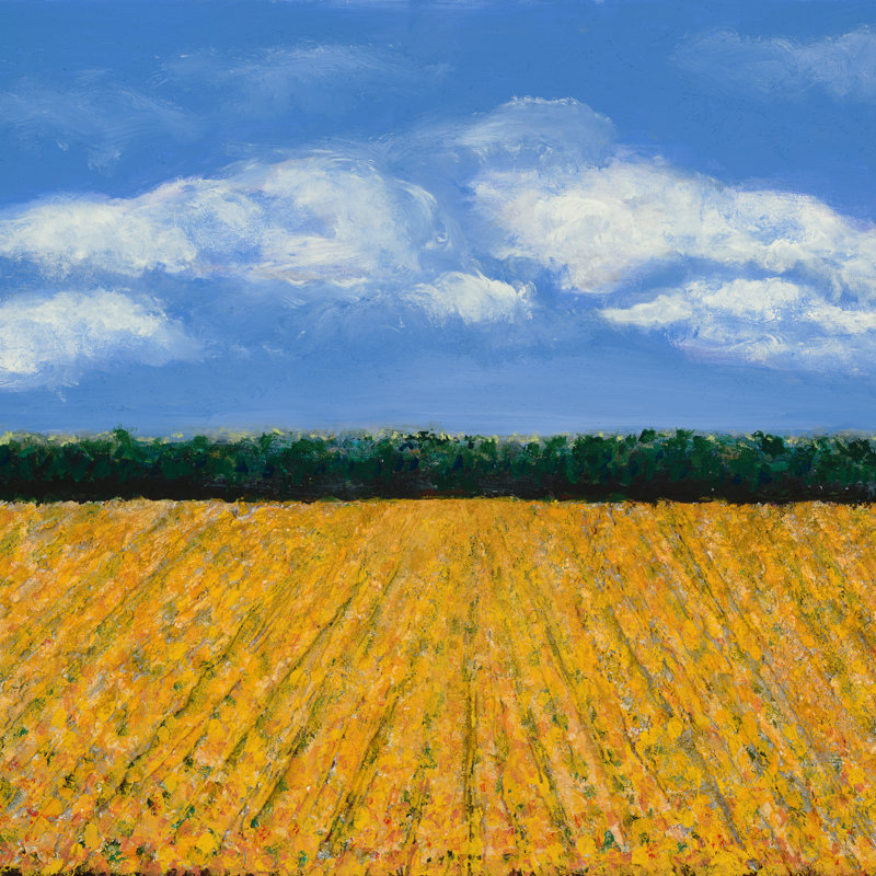 Yellow Fields Print by Joyce Creiger