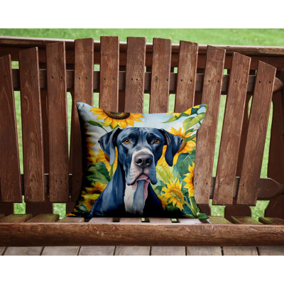 Outdoor Throw Pillow