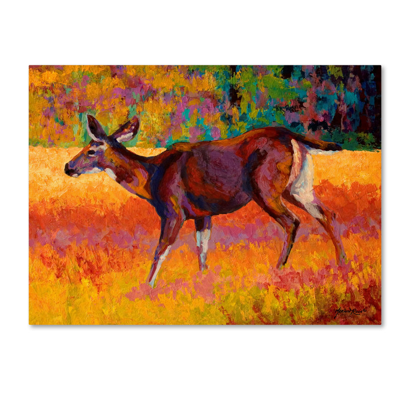 «Doe I» par Marion Rose, reproduction sur toile, H 14 po x l 19 po x P 2 po