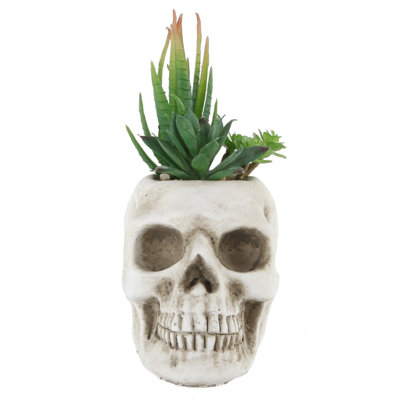 Station de travail succulente 5" en pot