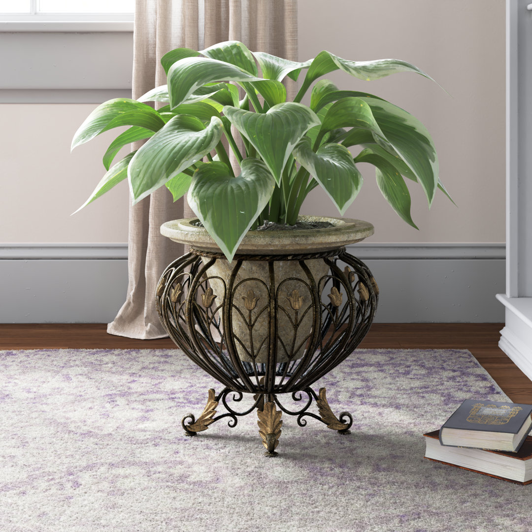 Allean Pedestal Plant Stand Lark Manor™