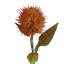 Artificial Arrangement-106401534