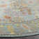 Chantae Performance Oriental Rug