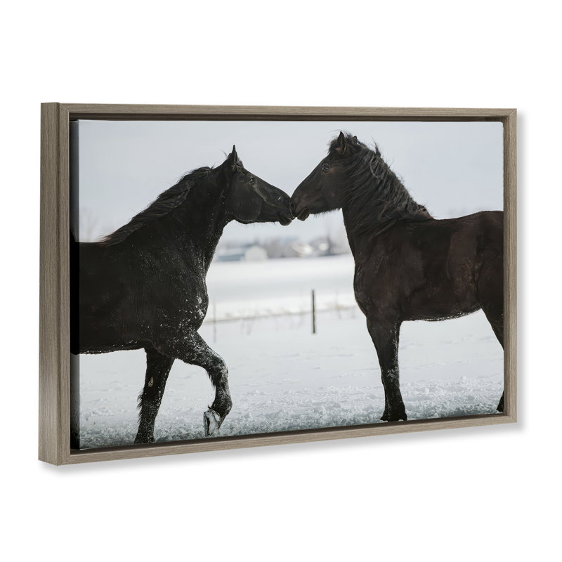 Cadre flottant Winter Horse, conçu par Amy Carroll, H 17 po x l 25 po, Cadre flottant orme Montalcino