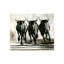 Running Bulls Print-25708239-25708241
