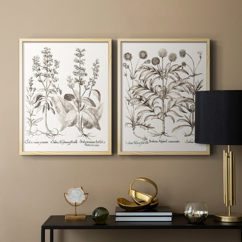 Sépia Besler Botanicals III - reproduction encadrée de qualité supérieure - prête à être accrochée - aucun clou requis - aucun clou requis