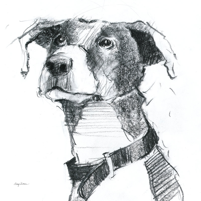 Puck Sitting Pretty by Avery Tillmon - Wrapped Canvas Print, 51cm H x 76cm W x 3.8cm D